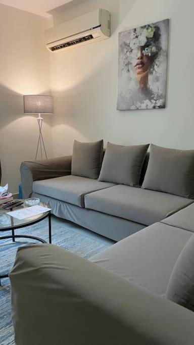Lovely With Private Garden In New * Cairo