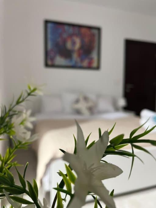 Lovely With Private Garden In New Apartment